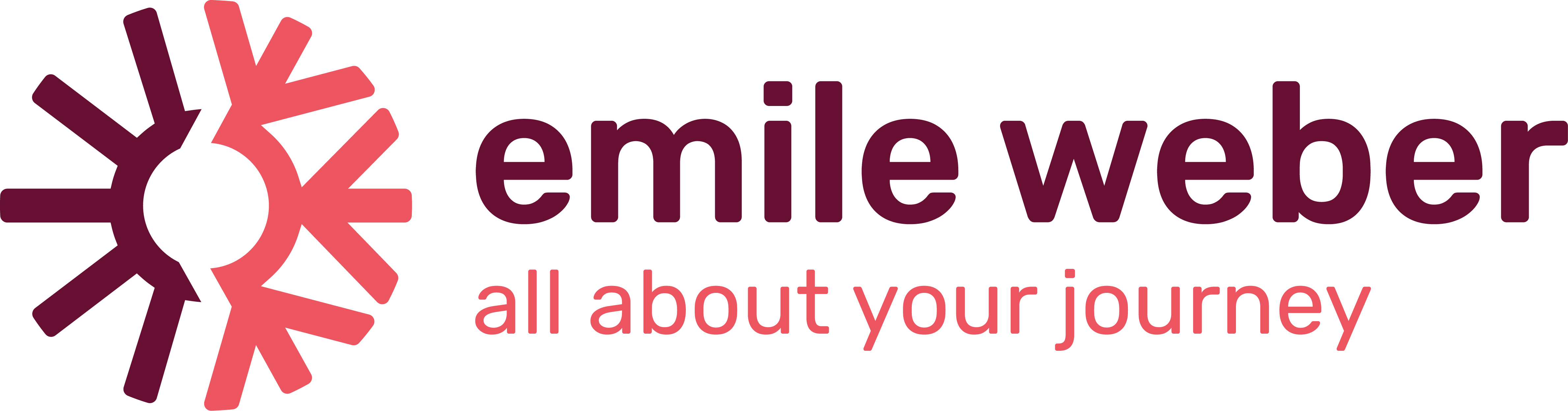 Logo - Voyages Emile Weber